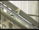 Now CLC Block Plant start @ Rs. 2.20 Lac only Call_ 7498532822 _ 9224490588 - YouTube (360p).mp4