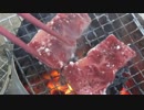 【野外ご飯】 焼肉に挑戦した日のこと 【タレか塩か】
