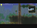 【観測動画】PC版テラリア1.3で木を愛する人 #008【字幕】