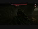 Evolveプレイ動画11 ベヒーモス