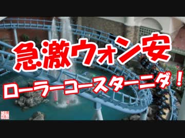 【急激ウォン安】 ローラーコースターニダ！