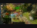 【Divinity: Original Sin】二人でまったり大冒険！プレイ動画その113
