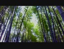 【癒し系ＢＧＭ】　竹林①　【自然音】