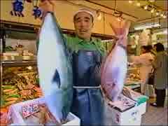 【PS】ブリガンダインCM集