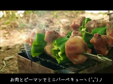 野良猫式アウトドアMemories No.2 (2014年7月)