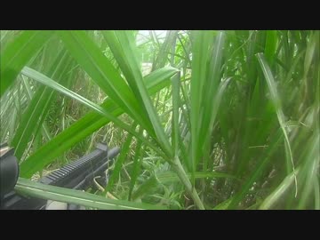 【身内向け】第四回一芸サバゲー大会part.2