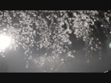 僕が作った曲３ 「silent echo」.mp4