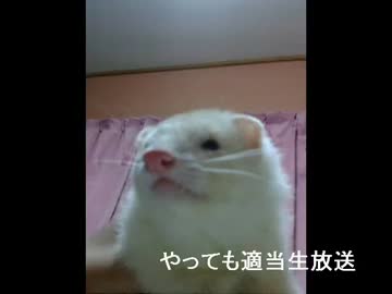 やってもの適当生放送アーカイブ動画　その９