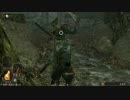 【実況】槍が好き。ダークソウル２ part48