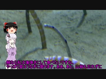 結月ゆかり＋ゆっくり＋αと行く東京旅行【第二話】