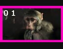 【FARCRY4】私はバカンスに来たんです。part.01