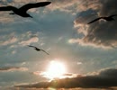【NNI】This video has been deleted【Instrumental】