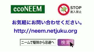 アブラムシを簡単に撃退するニームの天然忌避香（設置事例３）