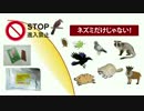 なずみを簡単に撃退するニームの天然忌避香（設置事例８）