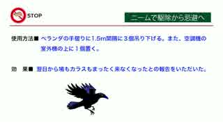 ハトやカラスを簡単に撃退するニームの天然忌避香（設置事例）