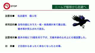 カラス・鳩・野鳥を簡単に撃退するニームの天然忌避香（設置事例）