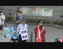 【2015/8/3】防衛省激励街宣2