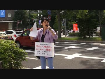 日本が韓国を近代国家にしてしまったことを謝罪しよう！パレード５ ①