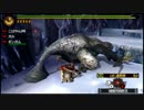 我が運命は、くじの結果次第！？　MH4Gを実況プレイ　＃１４