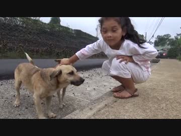 (∪´・ω・)→（∪＾ω＾）捨て犬保護シリーズ　30