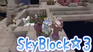 SkyBlock～島は破壊されるもの～No.3