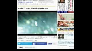 今世紀最大の悲鳴　【初見動画】
