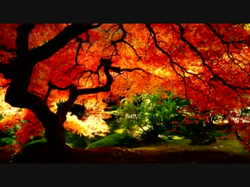 いかないで　Piano Arrange ver うたってみた 鹿子