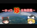 ～ゆっくり　珍　生物図鑑～　新・第7回