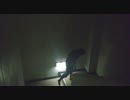 【狂気】【観覧注意!!】サイレントヒルの敵キャラっぽく【踊ってみた】