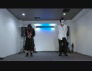 【初投稿踊ってみちゃった】Bad Apple!!【ぱいん飴】
