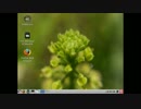 【BIOS】wattOS R9とWindows 10のデュアルブート Dual Boot【APIC・MBR】