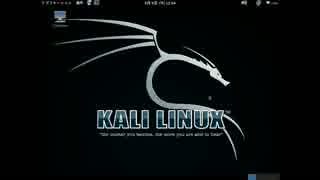 【BIOS】Kali Linux 1.1.0aとWindows 10のデュアルブート Dual Boot【APIC・MBR】