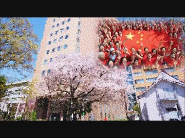 中国人留学生に乗っ取られた？日本のFラン大学が補助金まみれで