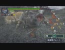 【MHP】今だから振り返る約10年前のモンハンを見ていく　～ part 18 ～