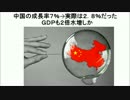 中国の成長率７％→実際は２．８％だった　ＧＤＰも２倍水増しか