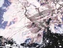 鈍色空に花吹雪　歌ったんだおらね