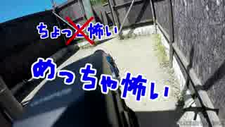 【CQB BUDDY】駄メサバ! Act.58:「大阪遠征」