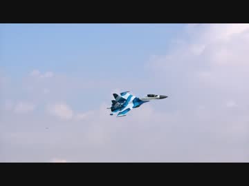 【ラジコン】超変態機動を披露するSｕ-30（スホーイ３０）【高画質】