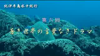 《紀伊半島水中紀行》第六回『蒼き世界の言葉なきドラマ』【前編】