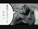 【バディファイト】東北ゴリラパーク　その2【対戦動画】