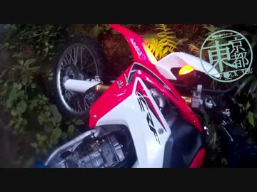 東京の林道にいってみた その3