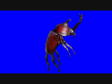 カブトムシbb 使用例 Kuwagata ニコニコ動画