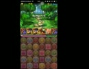 【パズドラ】パズドラＺコラボでシヴァドラ試運転