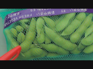 はじめての農家生活　その30