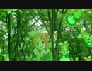 ウサミンの森