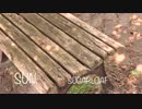 Sun - sugarloaf
