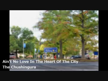 The Chushingura - Ain't No Love In The Heart Of The City
