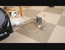 さつき＆めい、フロアデビュー！