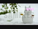 著作権フリー映像素材（雨・雪）商用利用可能！合成用_20movie