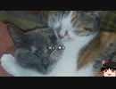 【心霊ちょっといい話part1】その44 叔父の無念